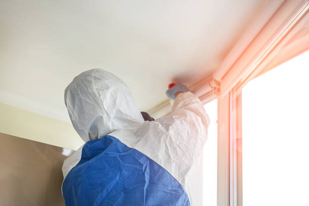 Why You Should Choose Our Mold Remediation Services in Iowa Colony, TX